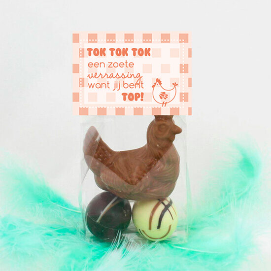 chocolade-kip-eieren-paasgeschenk